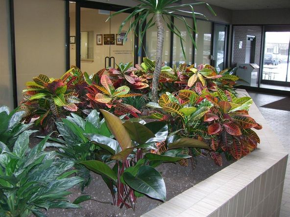 WIFI Corporate Center: 1400 S Wolf Road, Wheeling, IL 60090